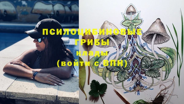 твердый Лагань