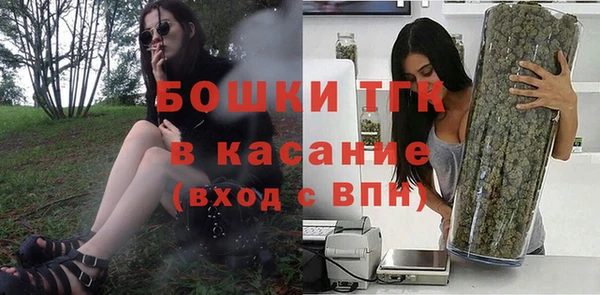 твердый Лагань