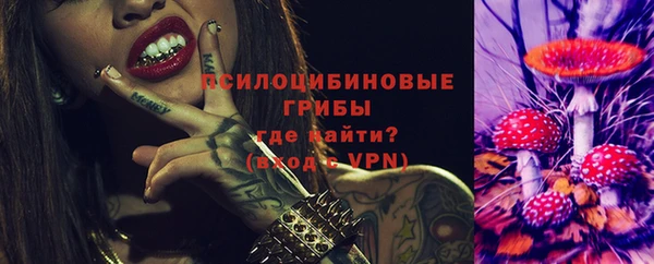 соль ск Лабытнанги