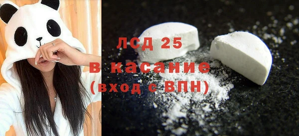 твердый Лагань
