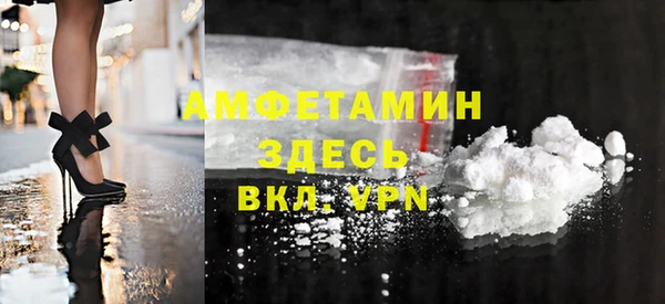 твердый Лагань