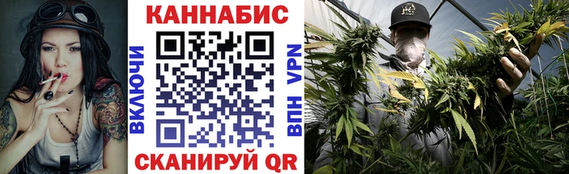 Шишки марихуана индика  Купить закладки  Камень-на-Оби 